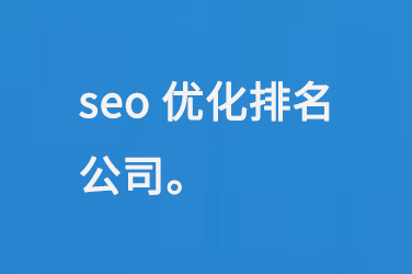 seo優(yōu)化排名公司