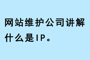 網站維護公司講解什么是IP